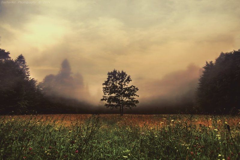 Monologue III фото превью