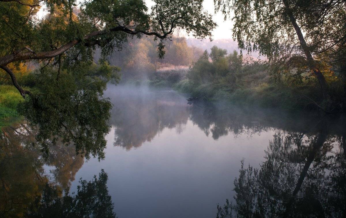 , Дмитрий Асеев