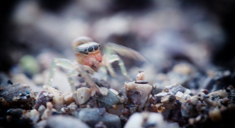«Ножки в кеды и бегом бегом бегом» фото превью