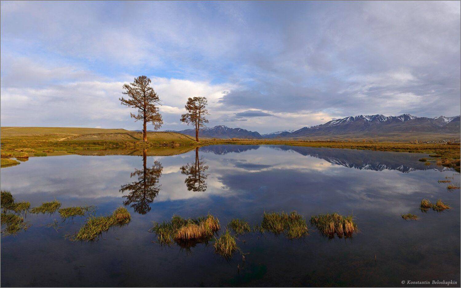 алтай, весна, константин белошапкин, ортолык, рассвет, чуйская долина, ёкитыт, Константин Белошапкин
