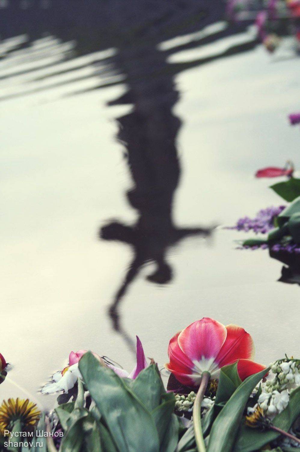 Родина-Мать, Волгоград, Рустам, Шанов, 9 мая, Рустам Шанов