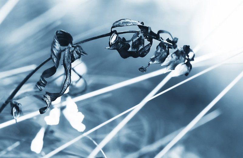 Murmurs lyric фото превью