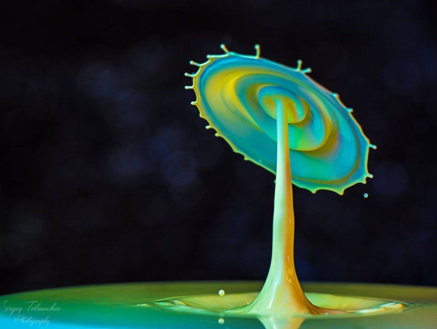 , Сергей Толмачев