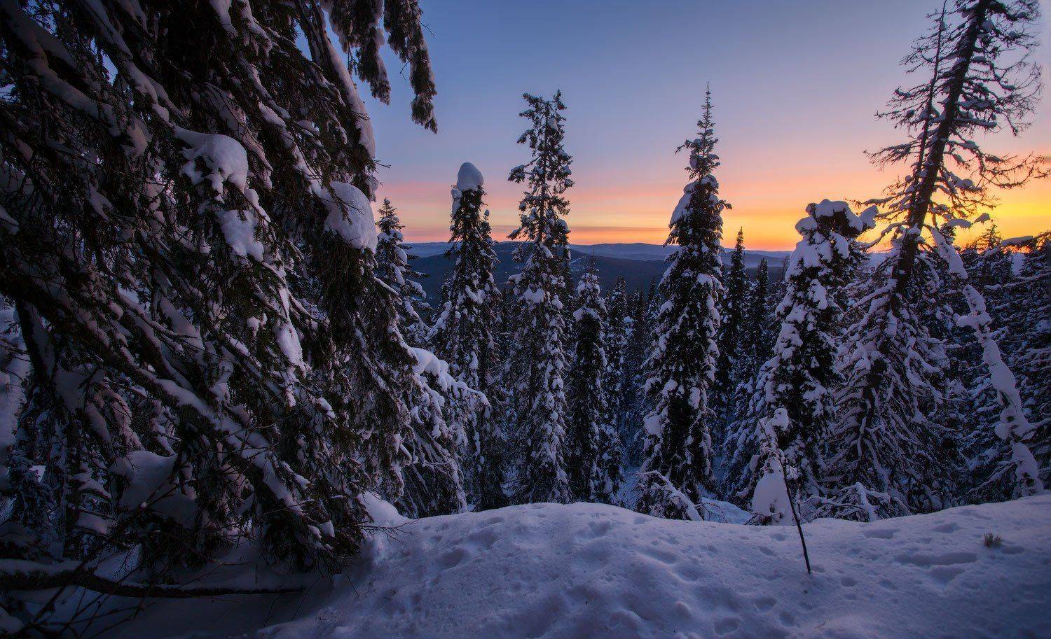 Урал, Владимир Ляпин
