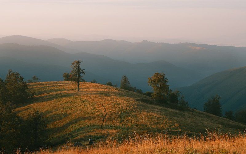 Первые лучи фото превью