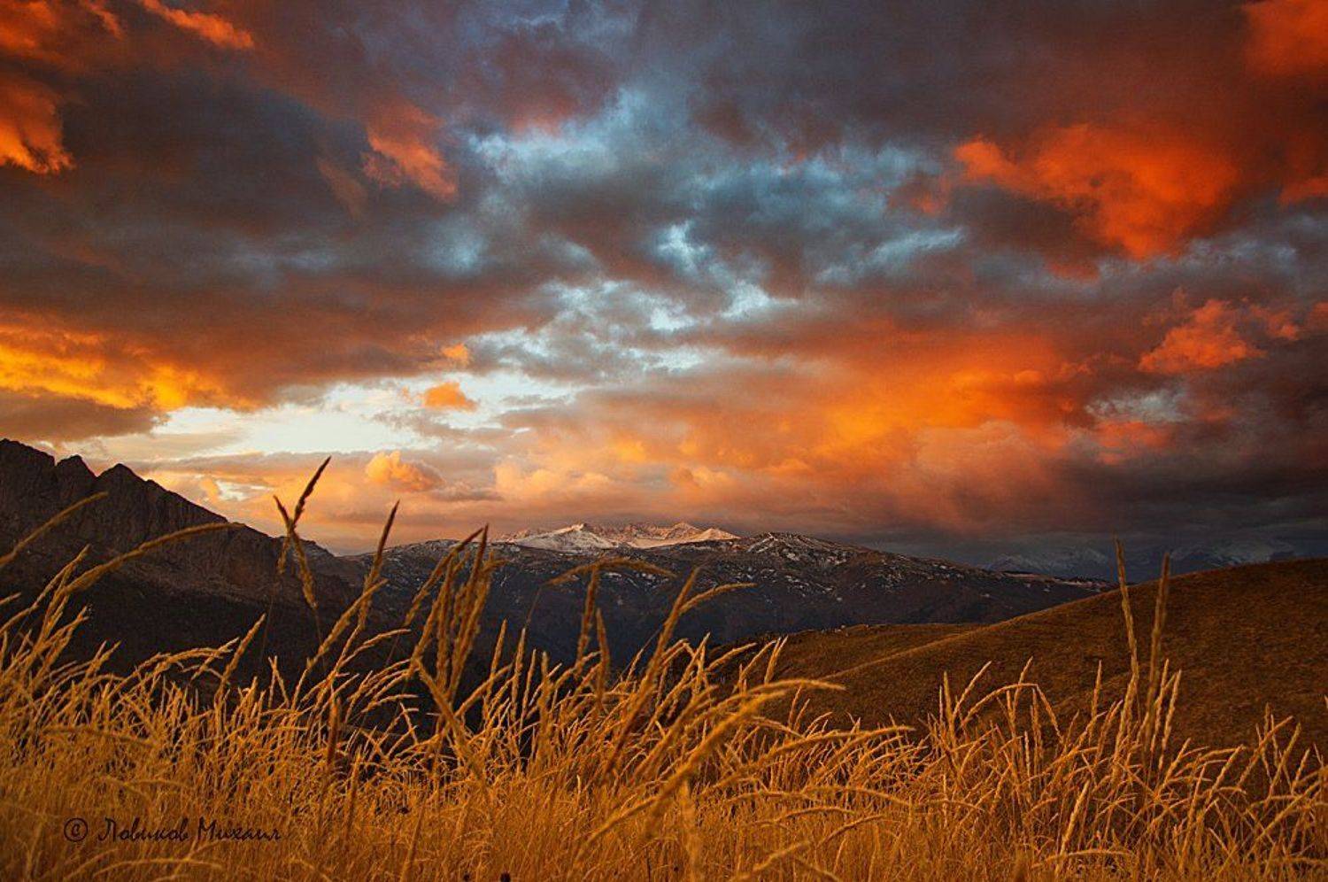 , Ловиков Михаил