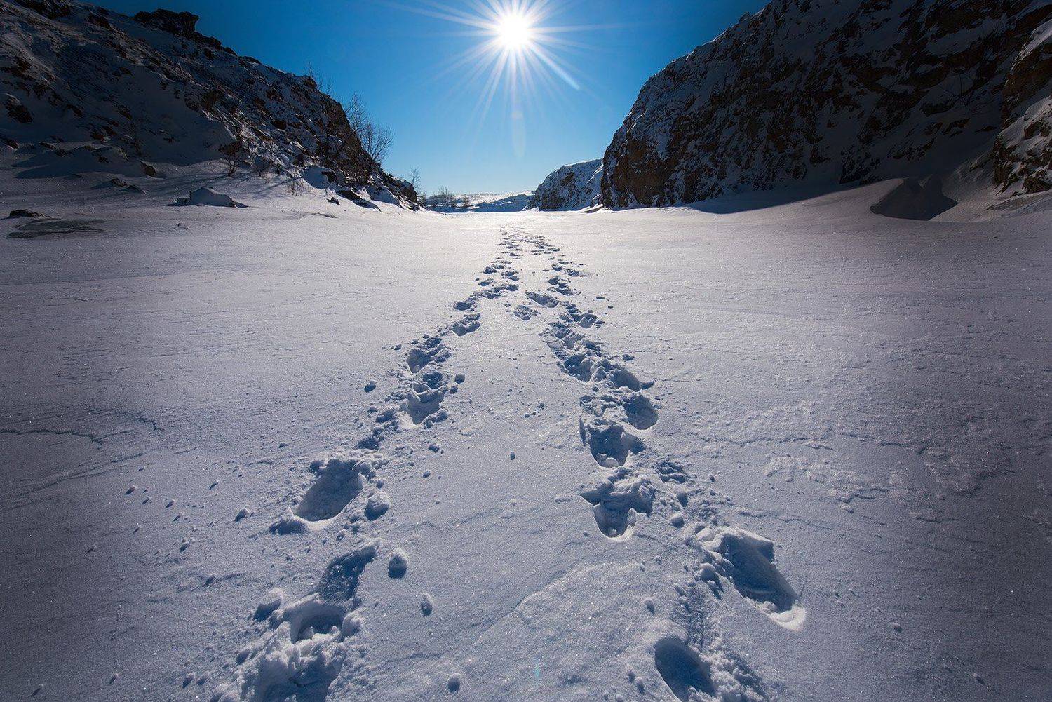 , Орлов Михаил