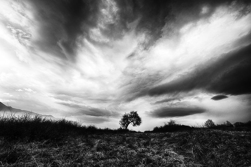 Alone фото превью