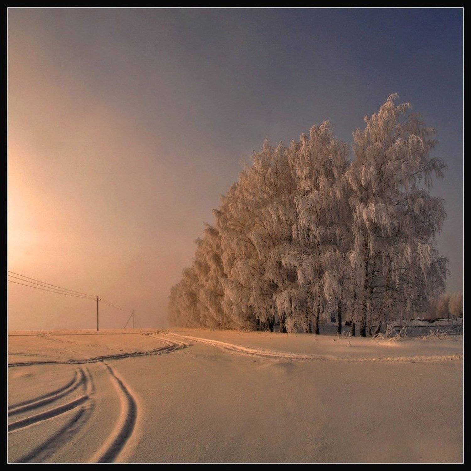 , Сергей Никсон