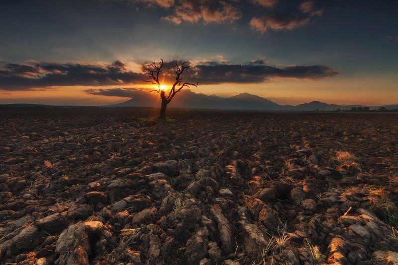 Light of Dead фото превью