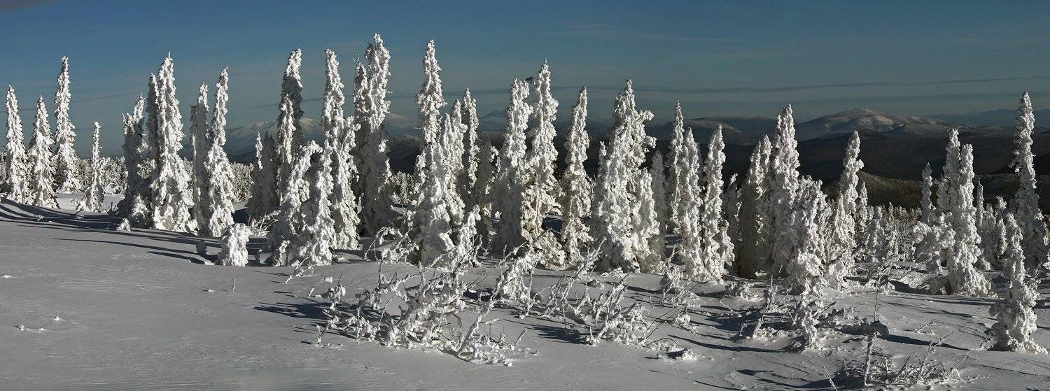 , Лихарев Александр