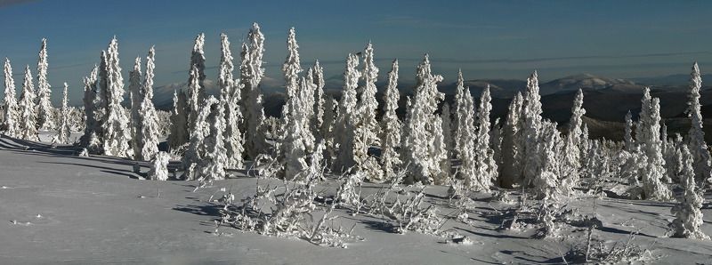 Зимняя зарисовка. фото превью