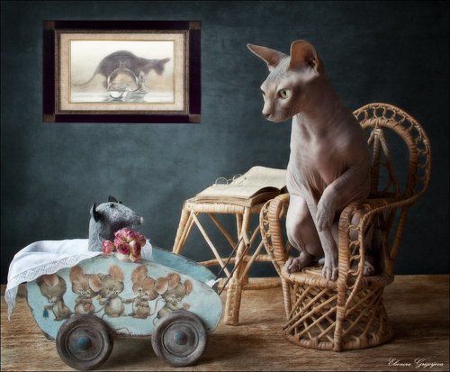 Кошки-мышки 2