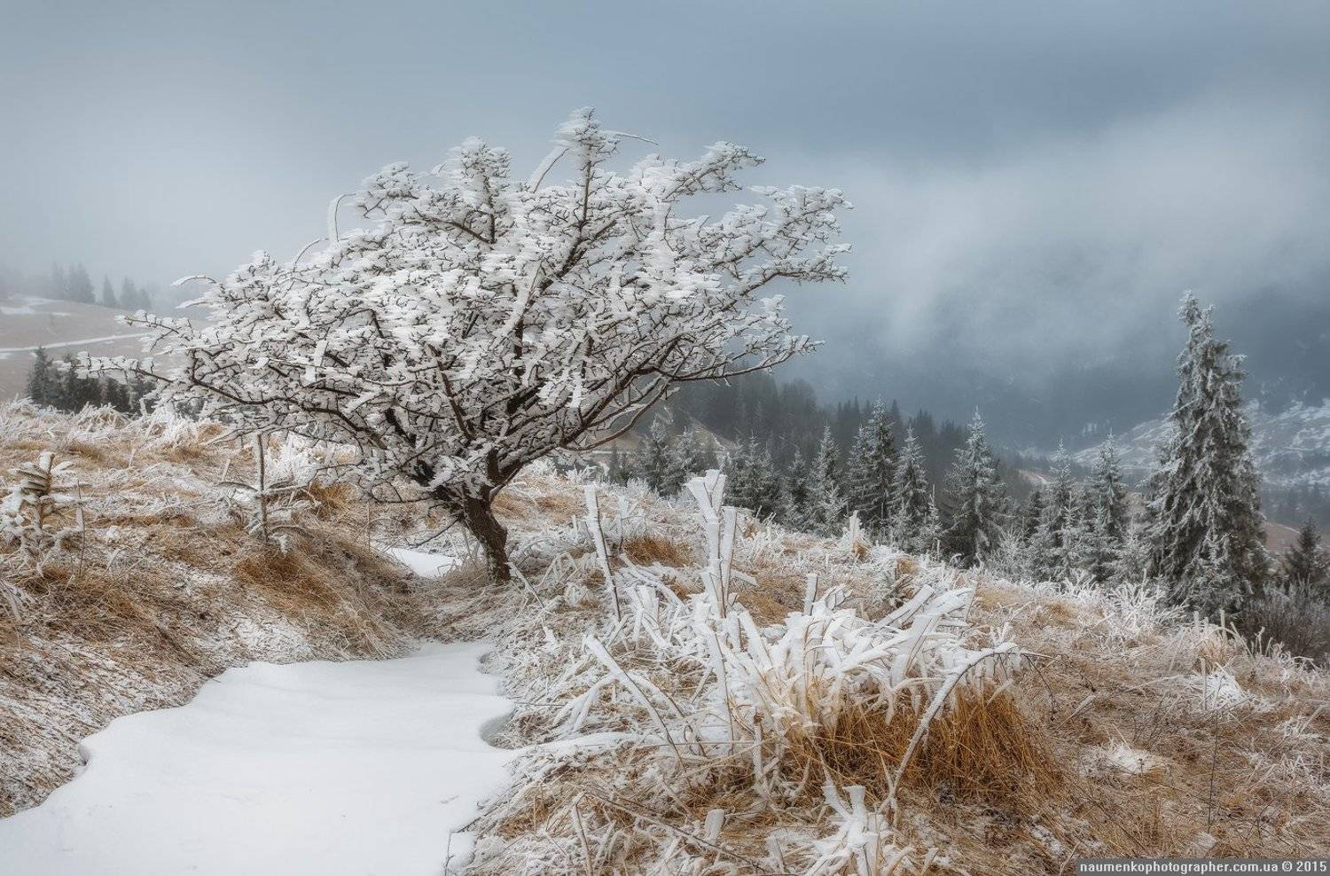 , Александр Науменко