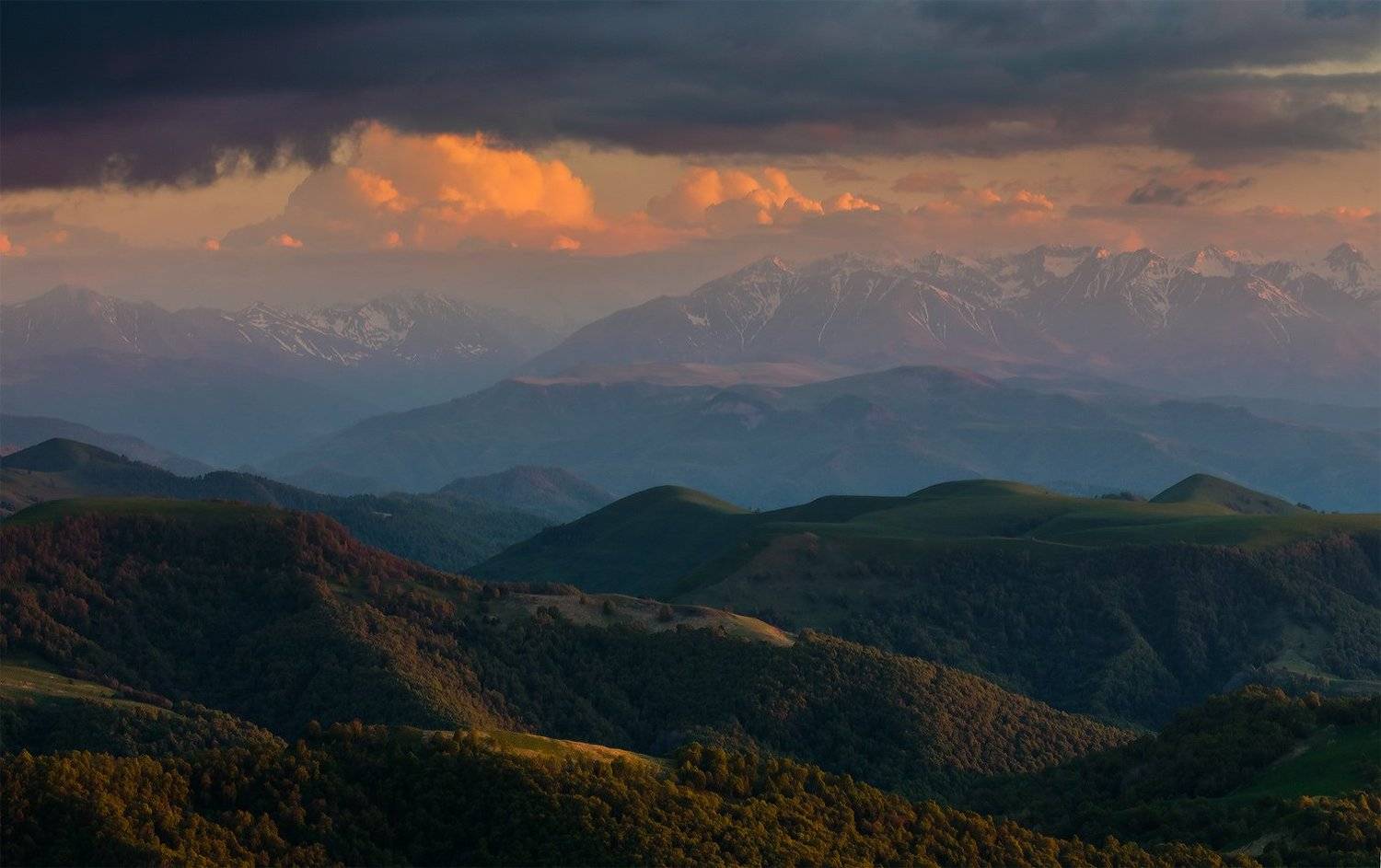 , Николай Мысливцев