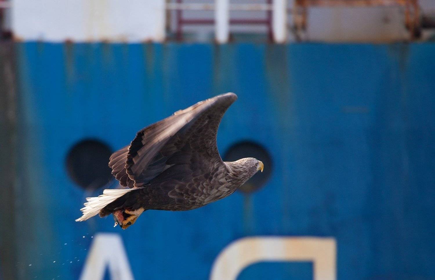 , Евгений Слободской