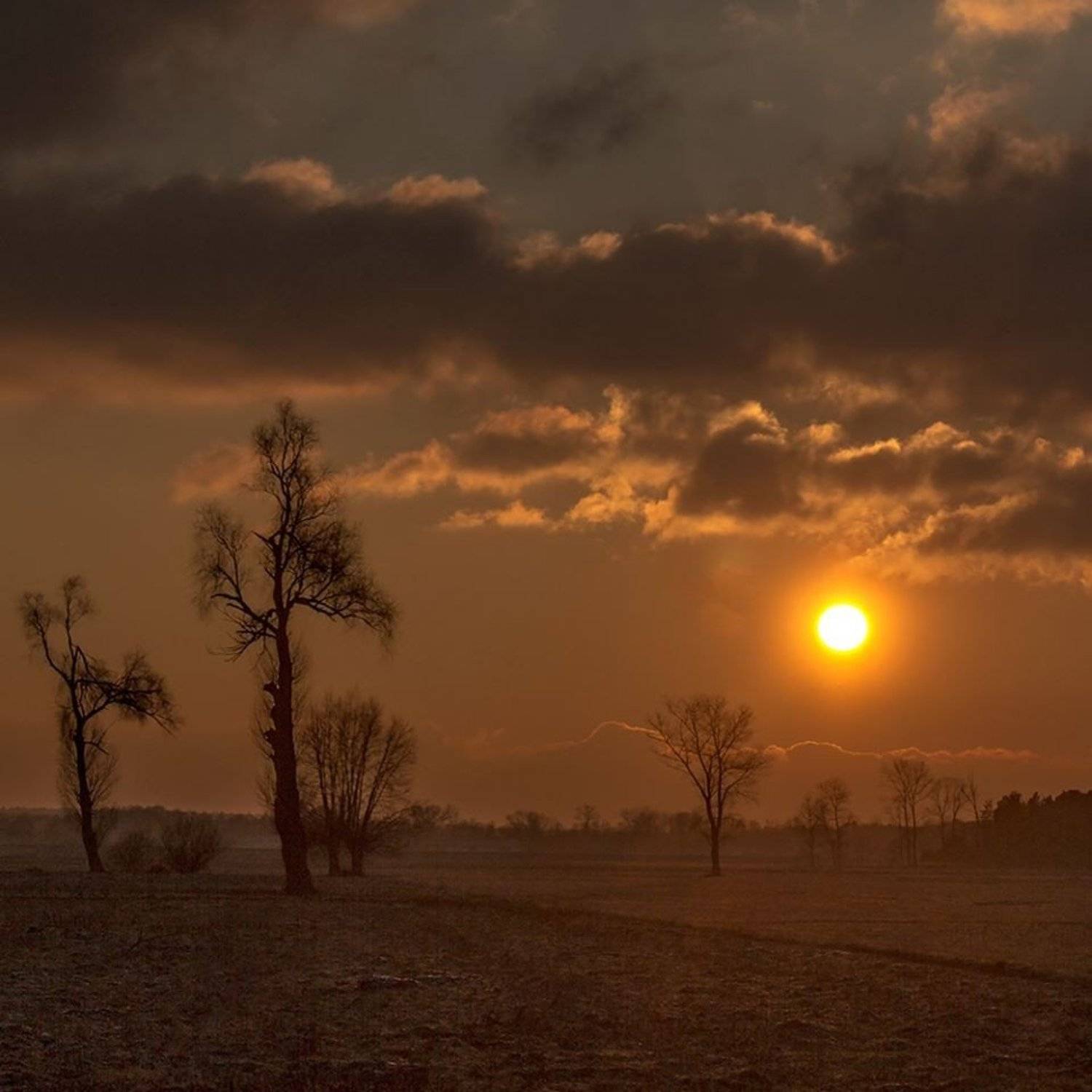 , Pawel Plucinski