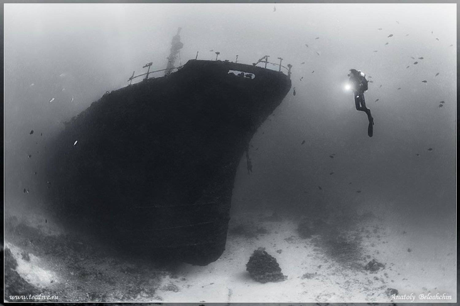 , Анатолий Белощин