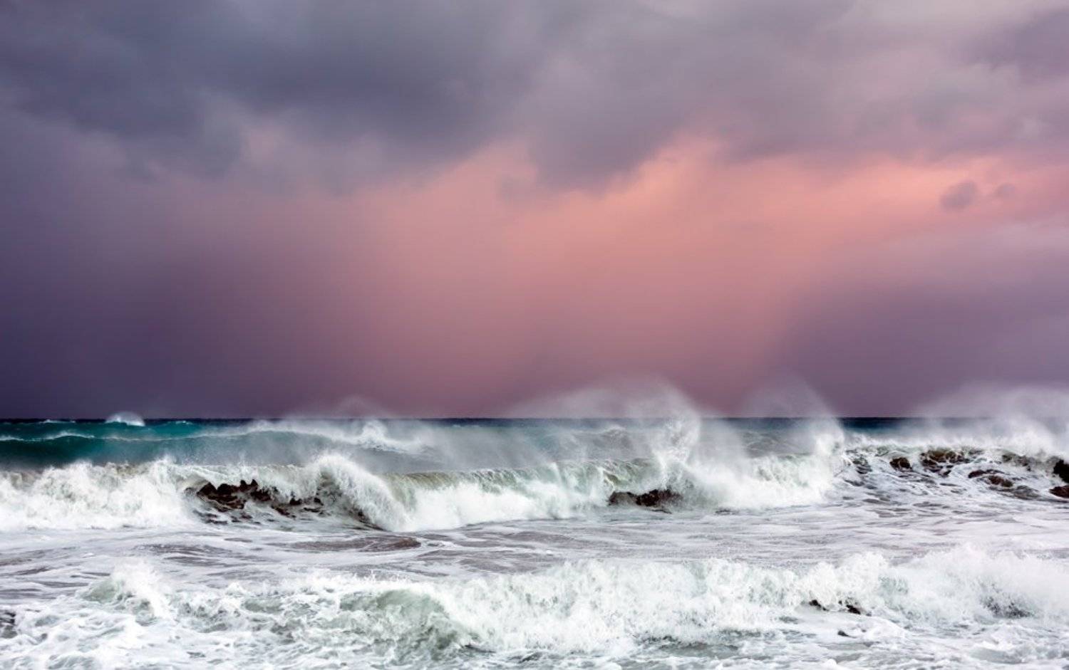 , Людмила Прокофьева