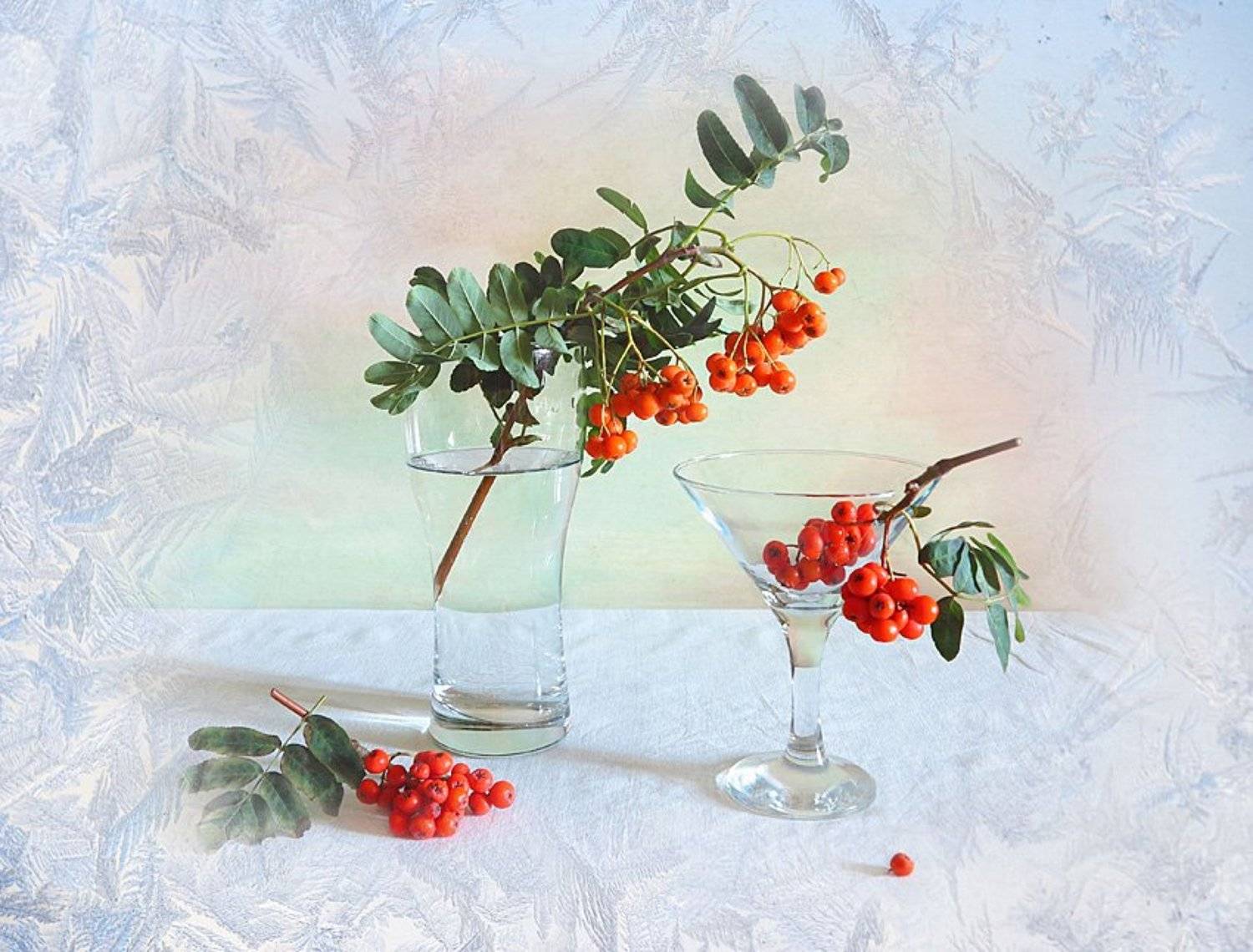 , Алла Шевченко