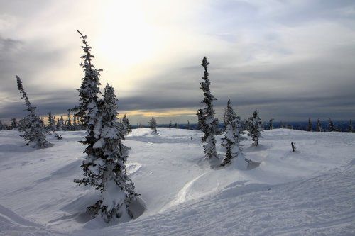 Тихо-тихо спускается вечер