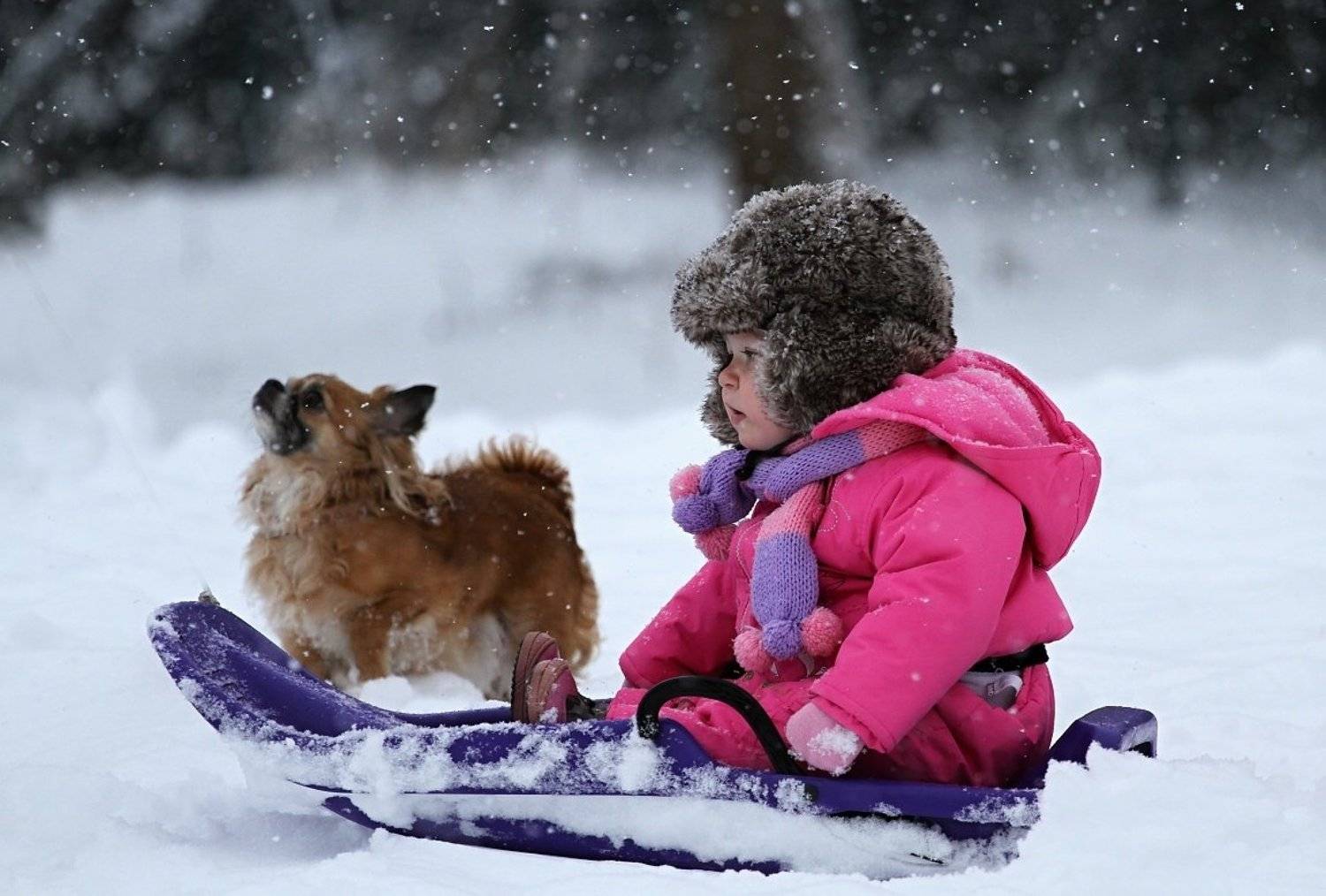 , Franti&scaron;ek Uhler