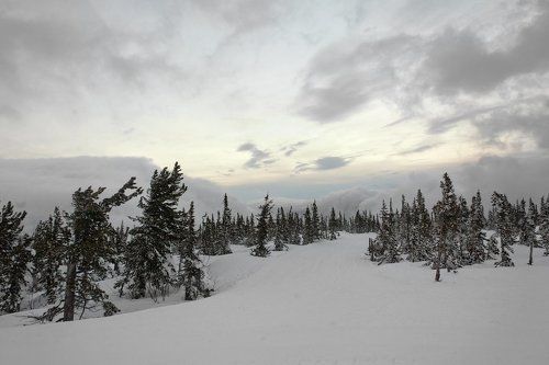 В царстве ватных облаков…