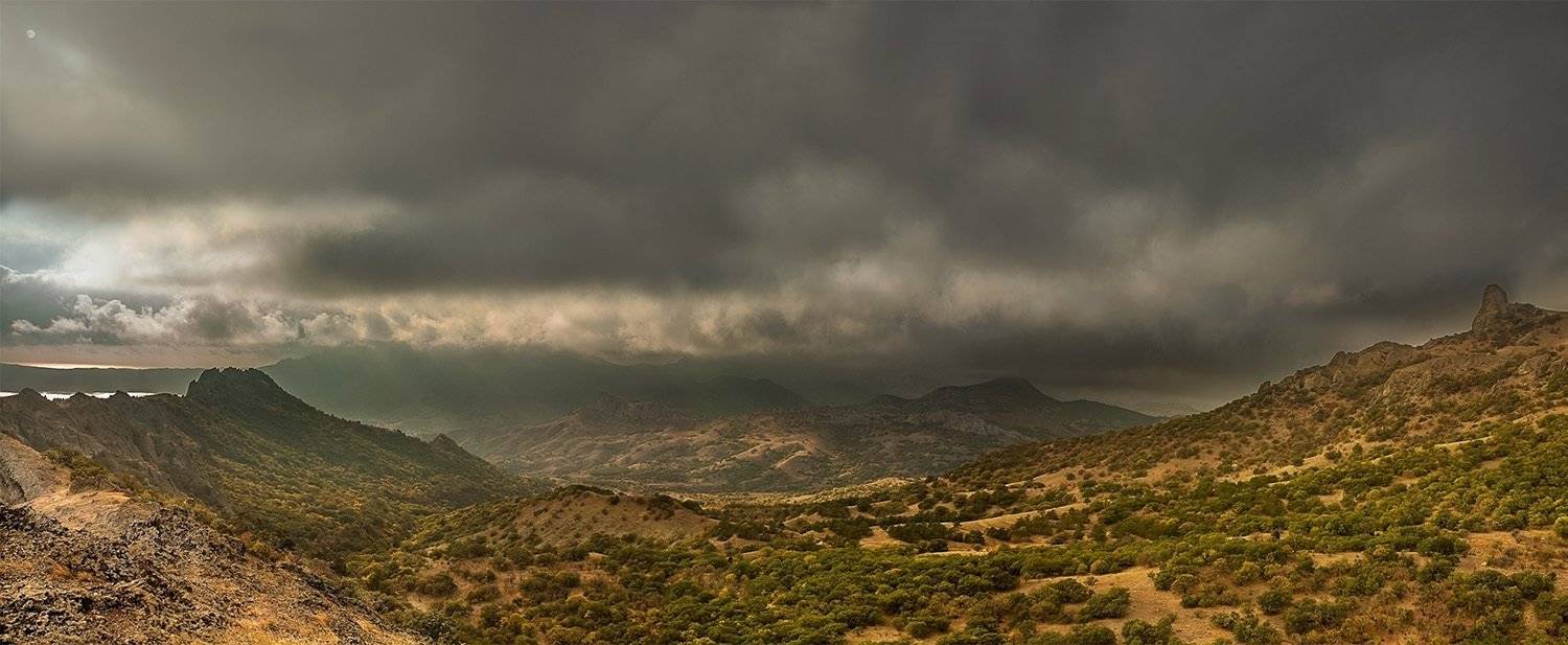 , Роман Рысь