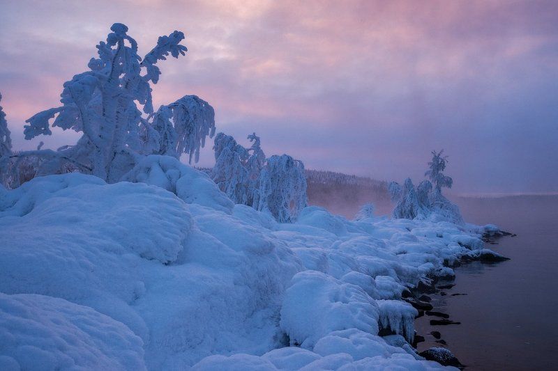 Молочная губа фото превью