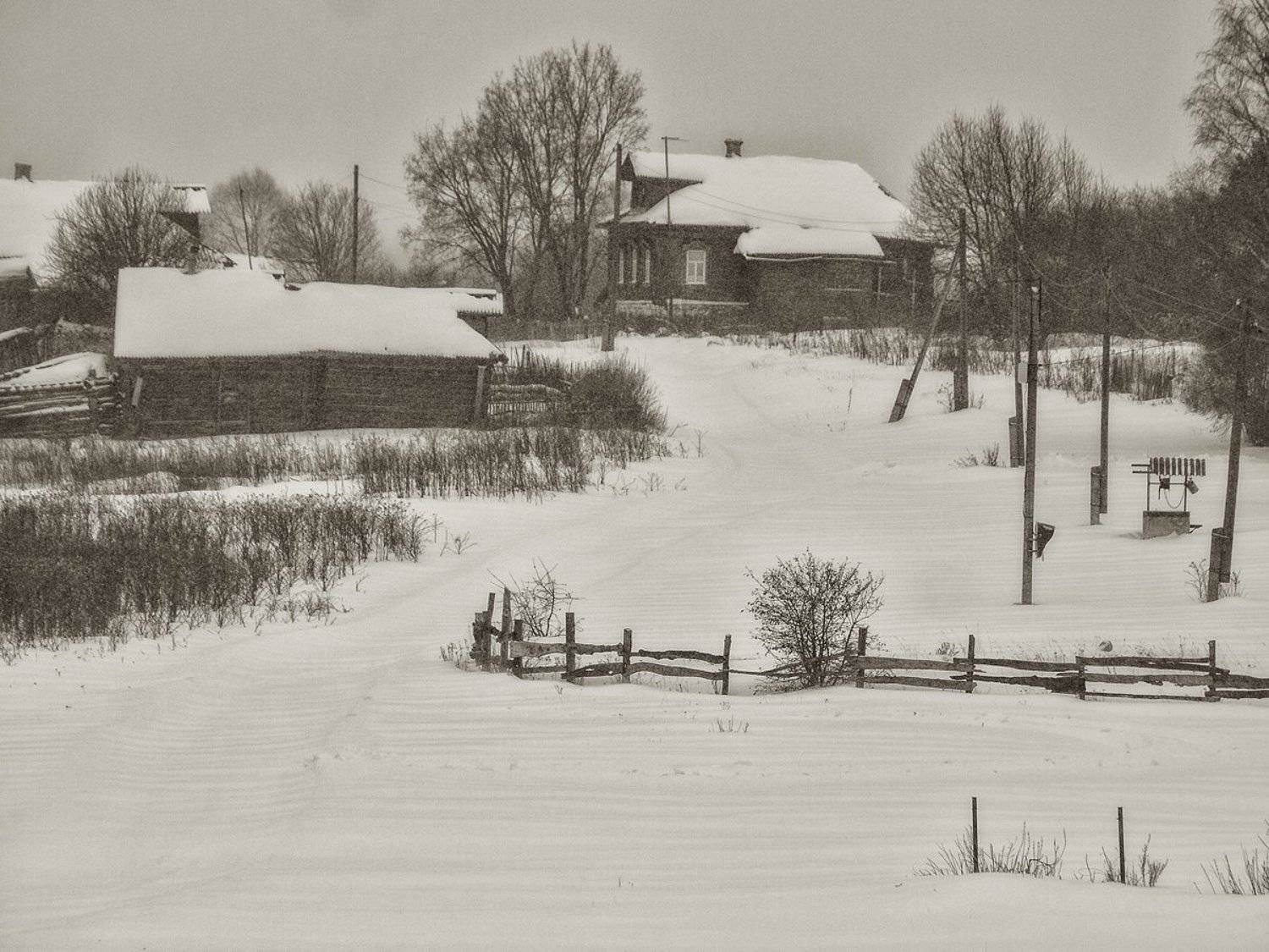 , Владимир Перепечаев