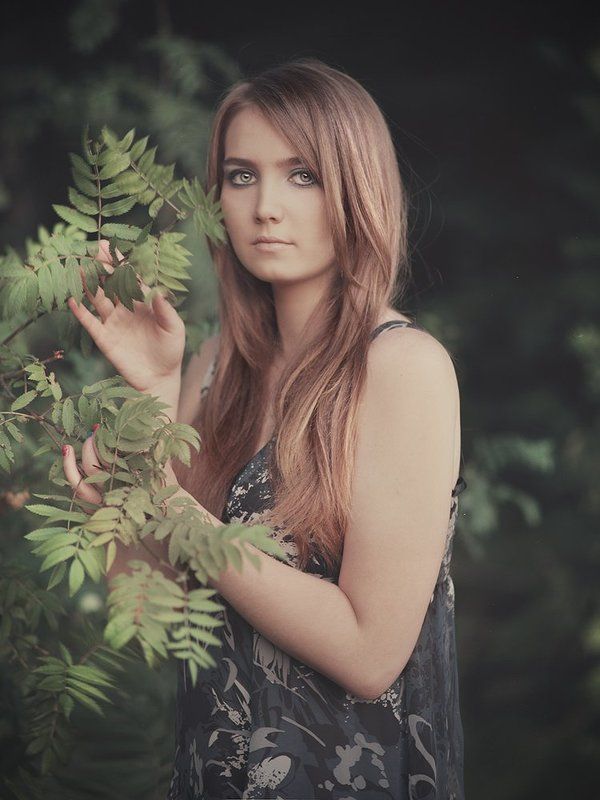 Forest stories фото превью