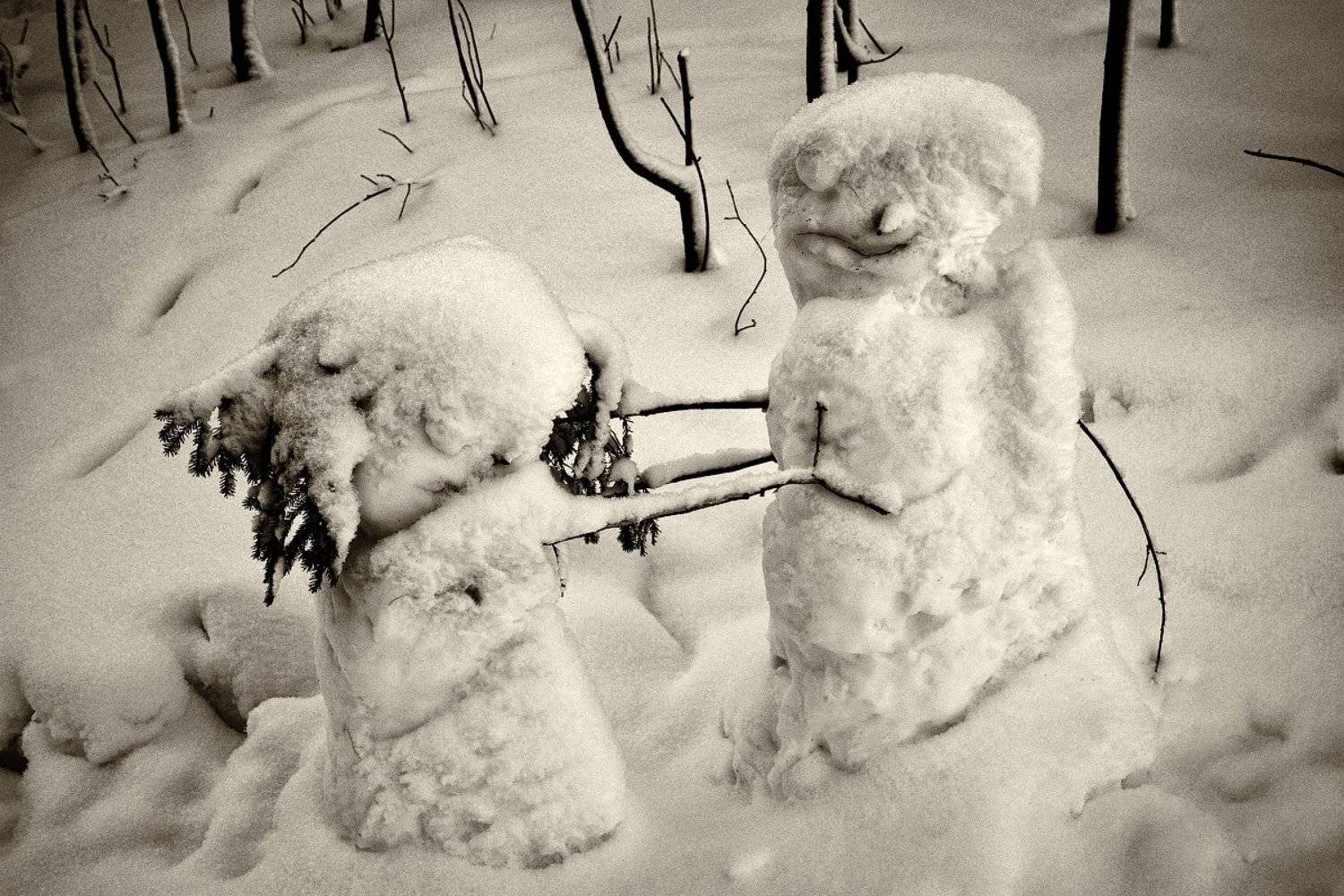 , Марина Никифорова