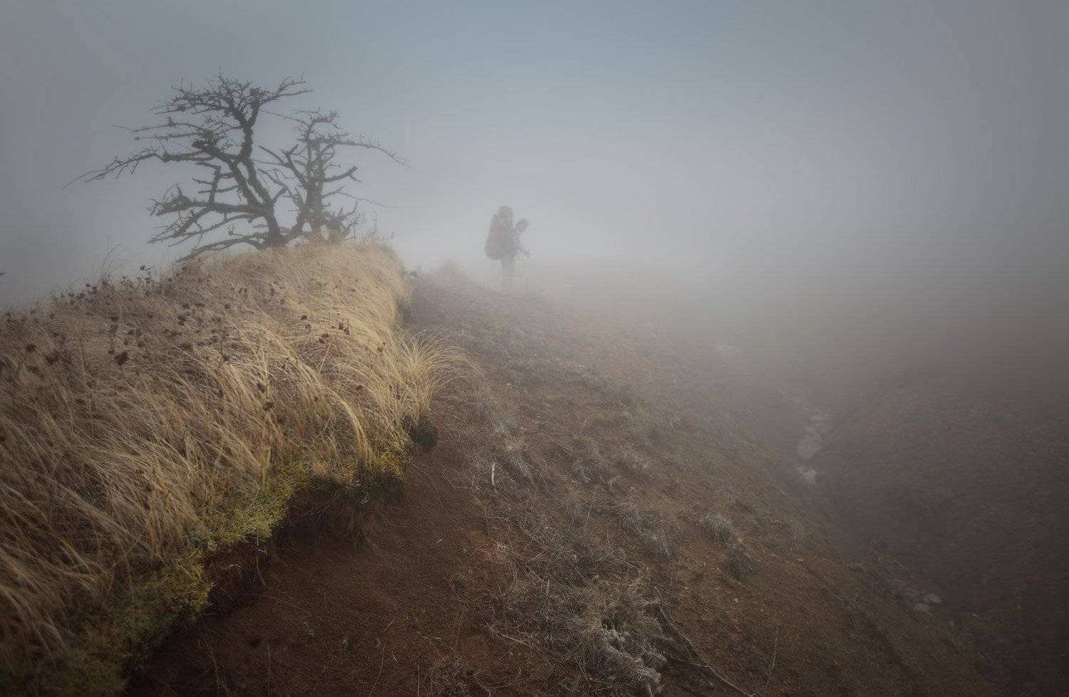 , Михаил Псарёв