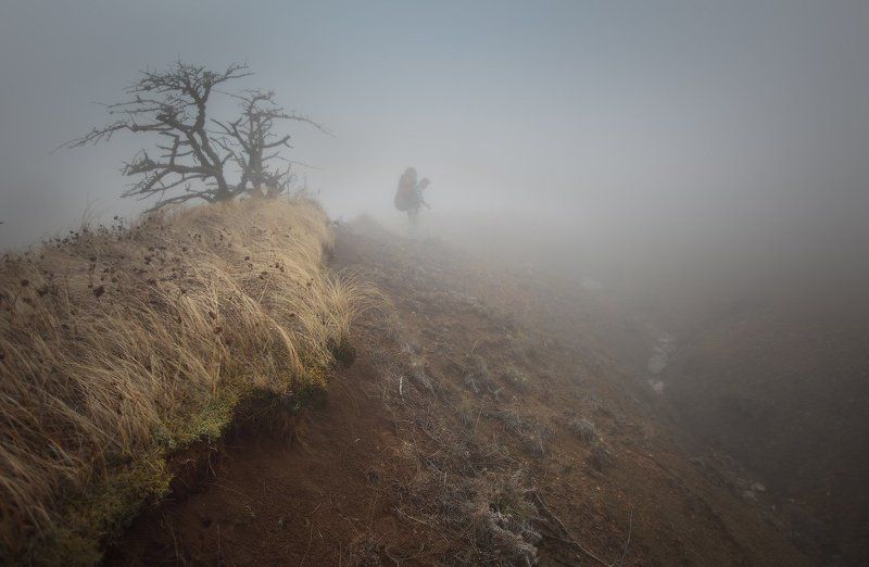 Где-то в Крыму фото превью