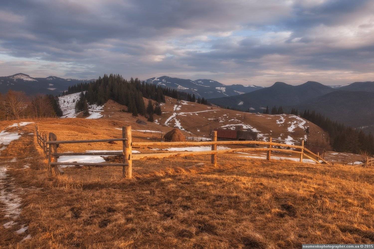 , Александр Науменко