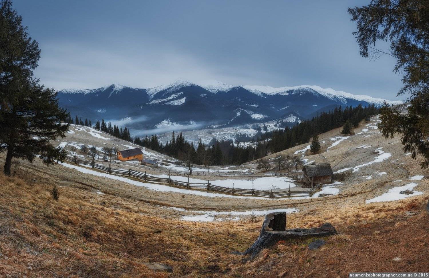 , Александр Науменко