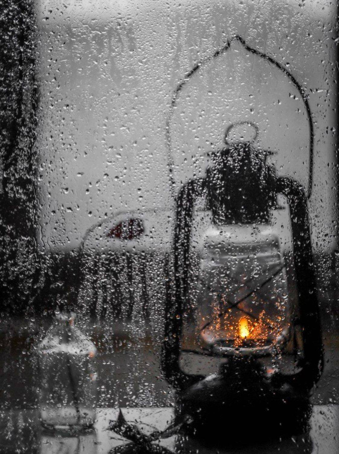 , Svoboda Andreeva