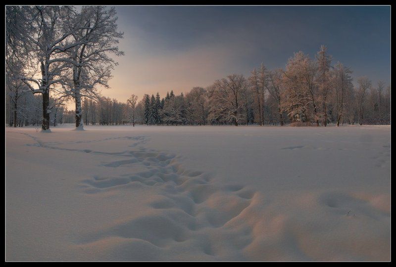 про Зиму в Пушкине фото превью