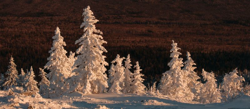 Сад камней и снежных скульптур фото превью