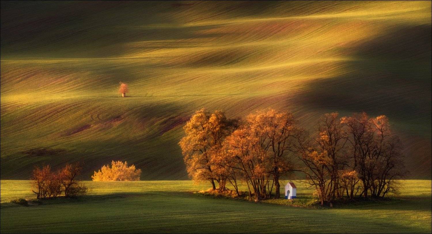 , Влад Соколовский