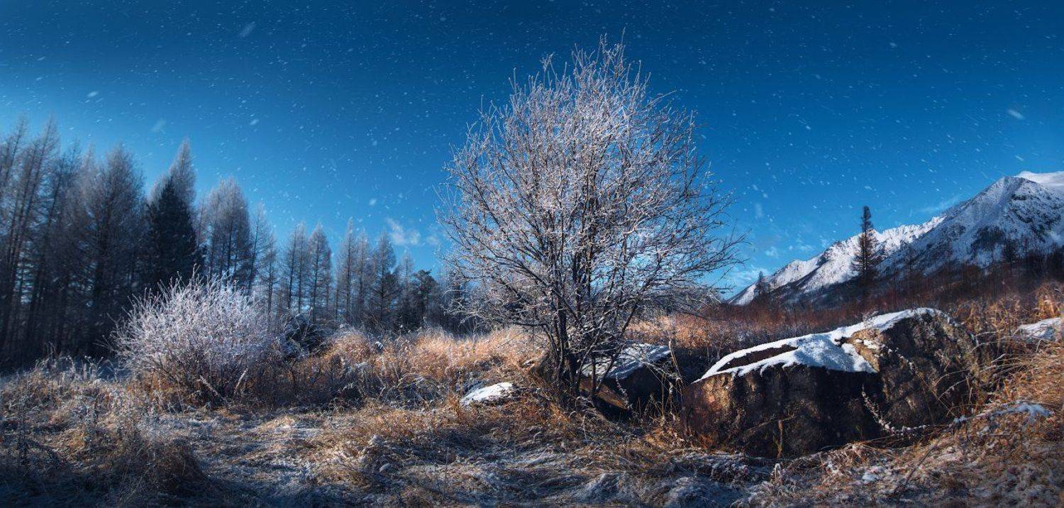 , Дмитрий Демидчик