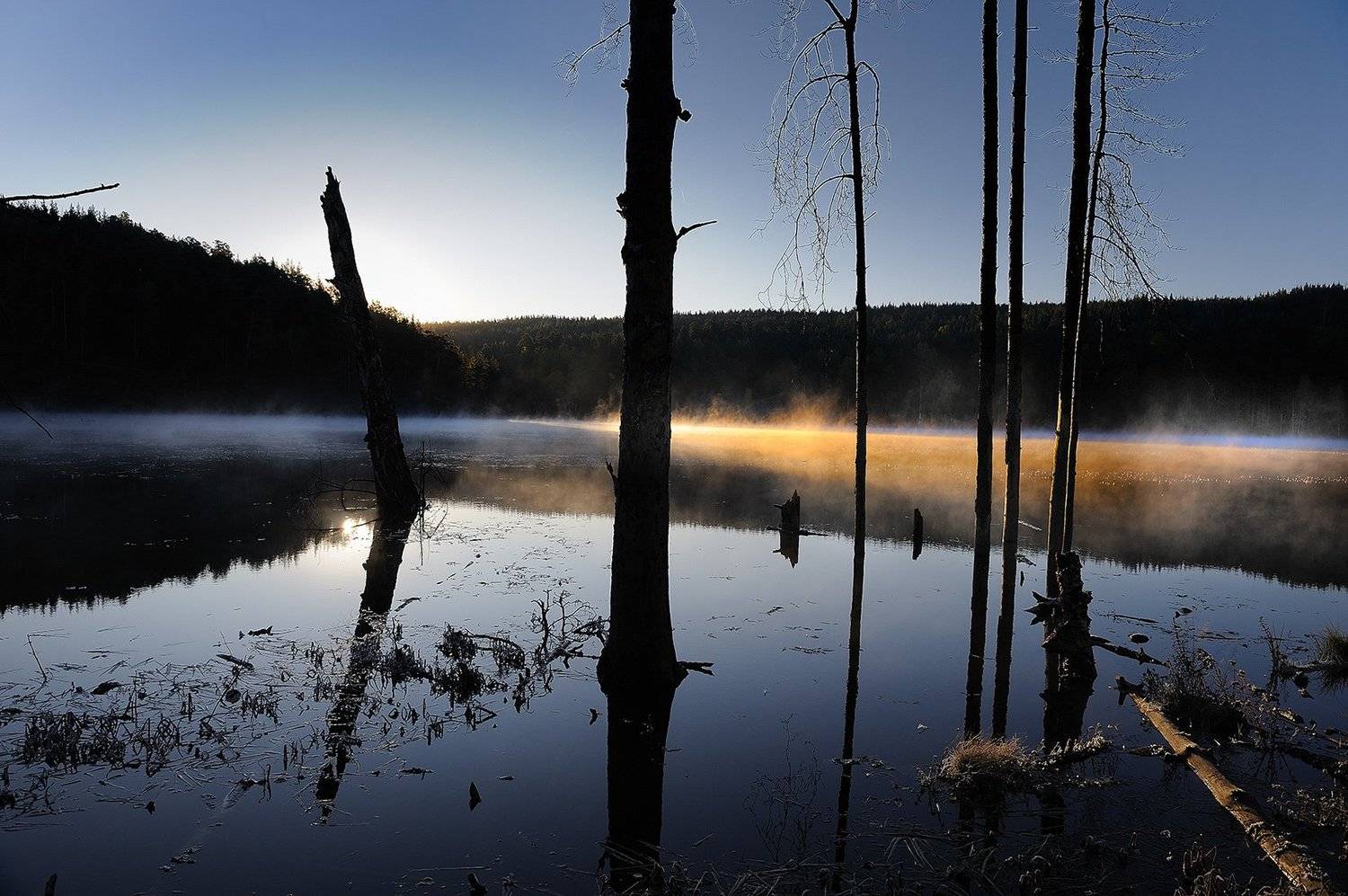 , Орлов Михаил
