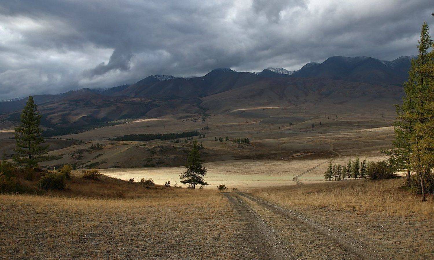 , Дмитрий Д.