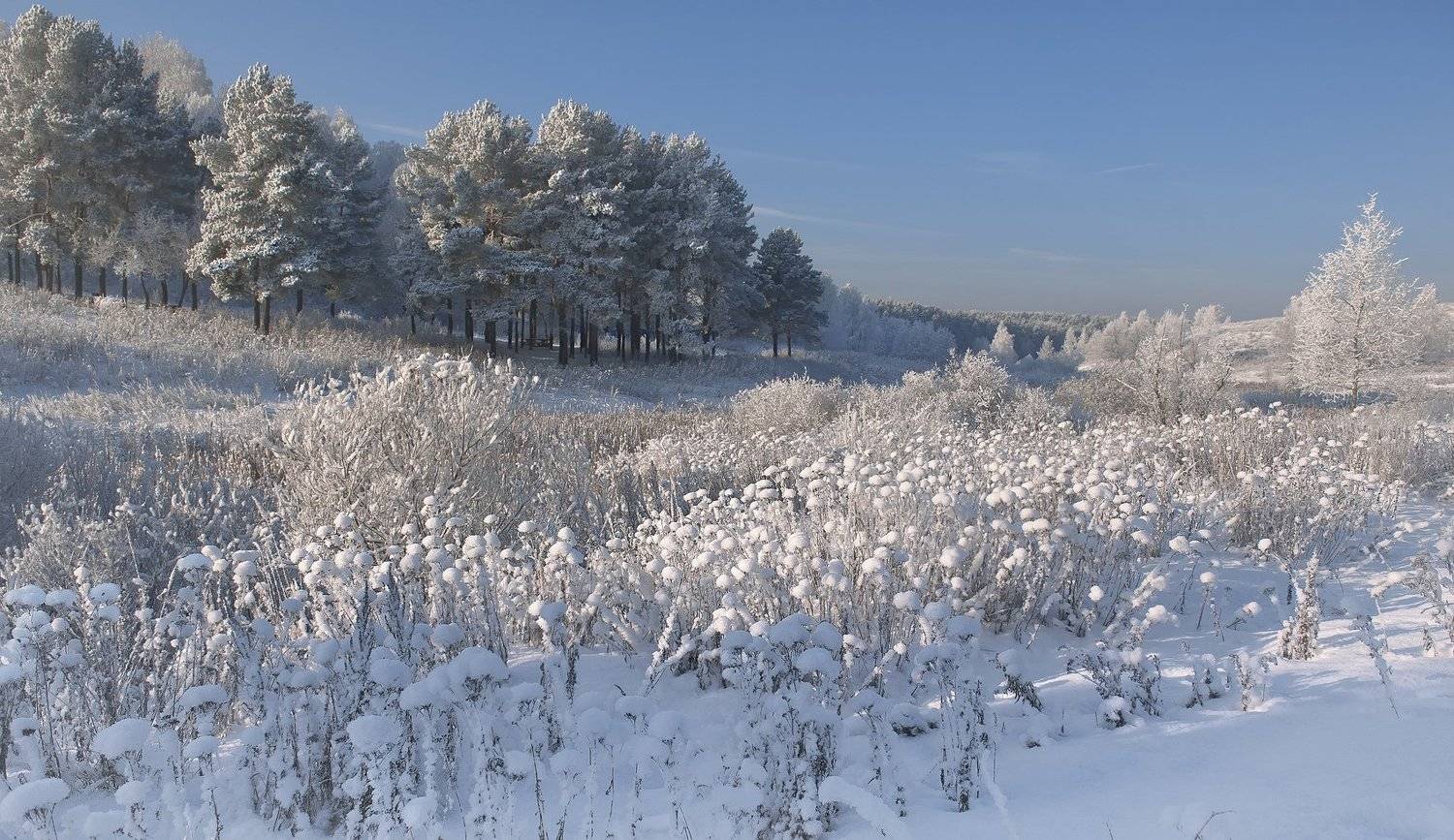 , Гелена Гленкова