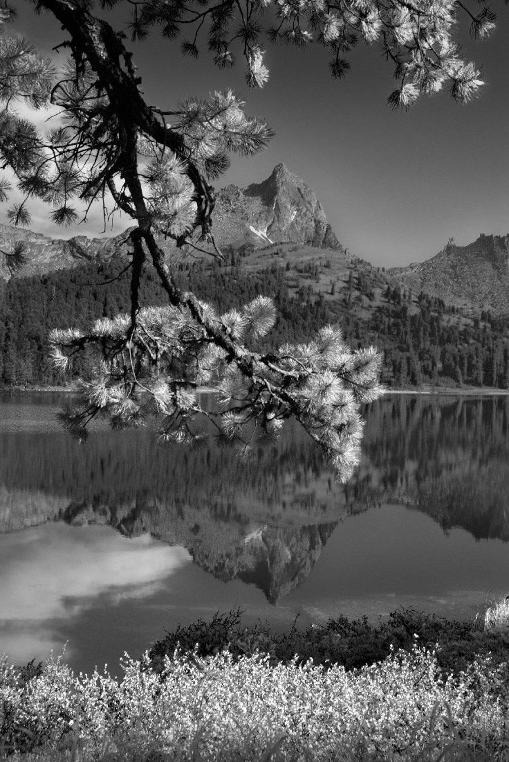 , Дмитрий Антипов