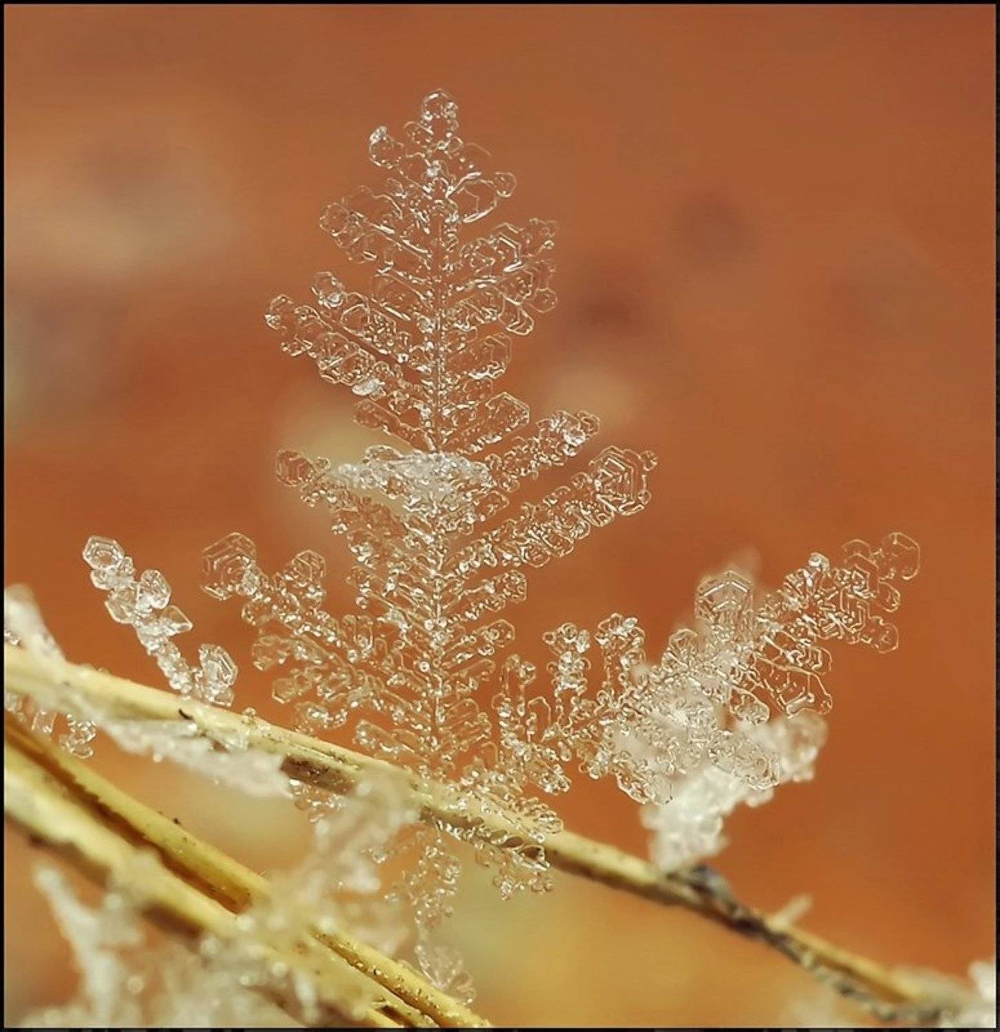, Андрей Осокин