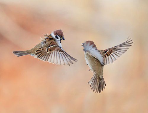 не только нервы потрепали...