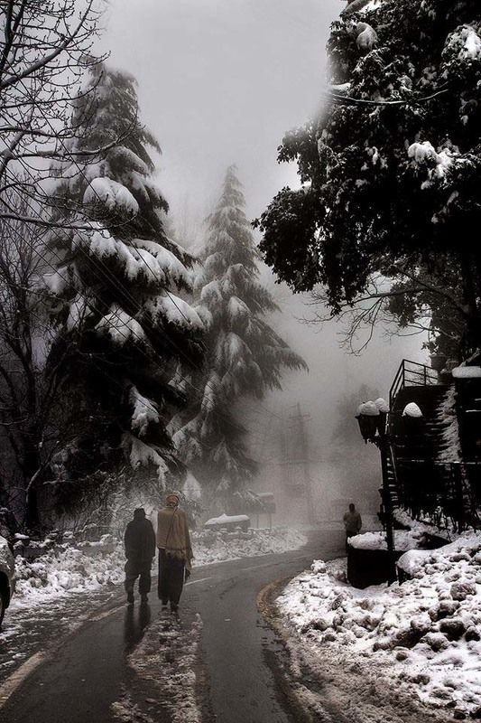 ! фото превью