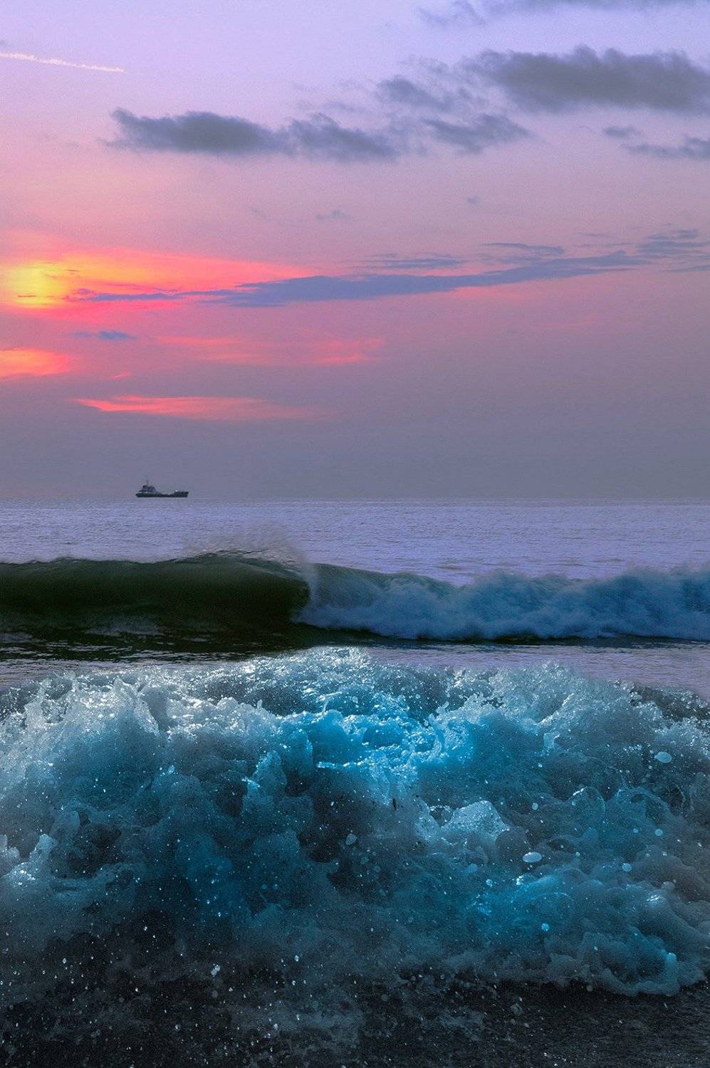 , Орлов Михаил