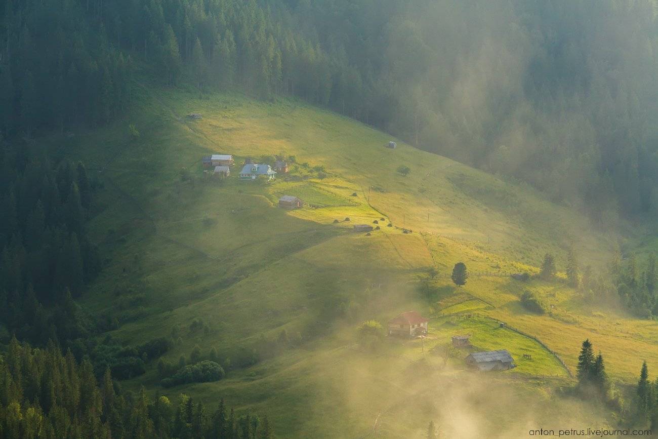 , Антон Петрусь